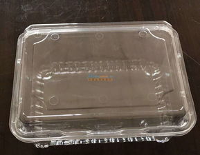 佛山吸塑包裝廠 東莞區域知名的吸塑包裝企業及其文化內涵